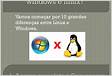 Quais as diferenças entre servidores Linux e Window